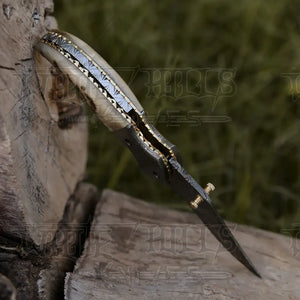 7" Handmade Forged Damascus Pocket Folding Knife - Ram Horn Handle - Damascus Bolster WH 3529