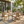 2-Piece Outdoor Dining Chairs Set: Acacia Wood with Rope Back