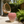 Strawberry Fruit Stool, 13.4