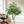 Artificial Banyan Tree With A Trunk And Lifelike Leaves, For Indoor And Outdoor Use - Green