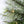 Home Heritage Stanley 7' Pine Artificial Christmas Tree, PreLit 350 Clear Lights