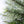 Home Heritage Stanley 7' Pine Artificial Christmas Tree, PreLit 350 Clear Lights
