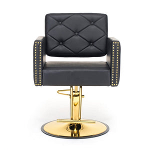 Barber Chair for Hair Stylist