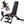 2-in-1 Weight Bench for Home Gym