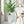 Indoor Outdoor Planter With Automatic Watering System