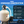 HYDROTOOLS by Swimline 19