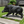 12.20' H x 21.26' L Resin Wild Boar Garden Statue