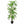 Dracaena Artificial Plant Indoor - 5.5FT