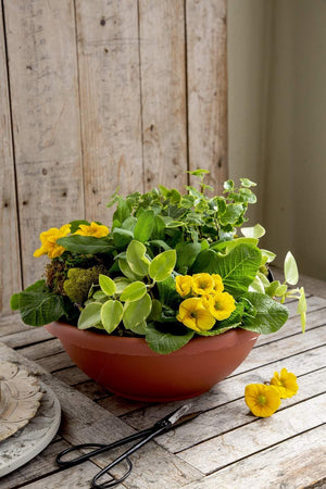 HC Companies 14 Inch Classic Plastic Garden Round Bowl Planter Pot, Chocolate