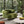 La Rosa Victorian Tufted Upholstered Accent Chair, Olive Green Performance Velvet