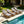Light Teak Acacia Wood Chaise Lounge Set