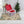 Sterilite Clear Christmas Light and Garland Holiday Storage Container (4 Pack)
