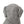 MGO Dog Statue, Outdoor Stone Gray