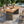 Outdoor Acacia Wood Dining Table with Teak Finish