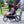 Baby Trend Expedition Lightweight Jogging Double Baby Stroller, Centennial
