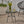 Petrichor Outdoor Side Table with Tempered Glass and Steel Frame