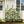 4 Pack Metal Garden Trellis for Climbing Plants