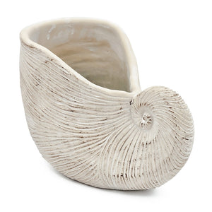 11.5x6.7x7.7" Sand and Cement Nautilus Shell Planter with Textured Beige Finish