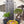 Metal Garden Trellis 4 Pack Rustproof Climbing Plant Supports