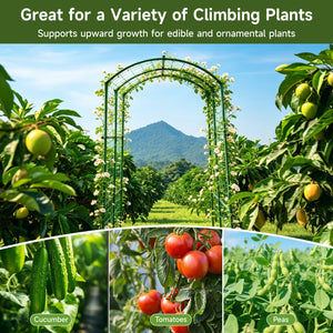 Heavy Duty 20mm Large Diameter Metal Cucumber & Loofah Trellis