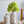 Ceramic Cylinder Vase with Multi-Colored Floral Motifs