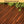 Interlocking Deck Tiles Striped Pattern, Square Acacia Hardwood Outdoor Flooring For Patio, Bancony, Pool Side
