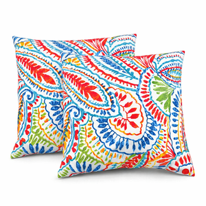 2 Pack Outdoor Throw Pillows (18x18 Inch)