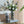 D5.9x11.8'H Fluted Accent Vases with Ribbed Design, Set of 2