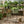 Set of 2 Textured Garden Pots