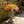 MGO Garden Planter in Rust
