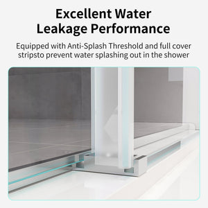 Double Sliding Frameless Soft-Close Shower Door