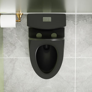 1 Piece Toilet With Dual Flush And Soft Closing Seat
