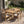 7-Piece Outdoor Acacia Wood Dining Set, 69