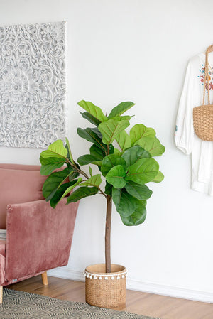 25x25x52"H Fiddle Fig Leaf Tree with 40 Leaves