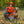 Upland Performance Fleece - XXS & XS Only