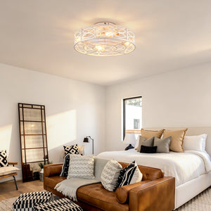 20" Caged Ceiling Fan with Lights and Remote Control