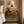 Solid Wood Valencia Curve Wall Bedside