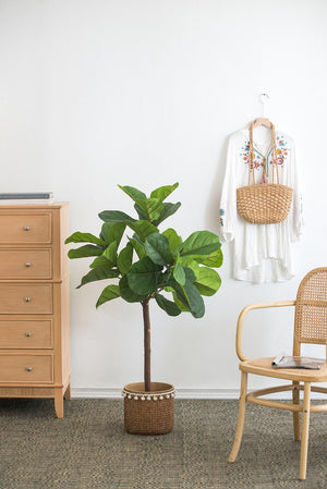 25x25x52"H Fiddle Fig Leaf Tree with 40 Leaves