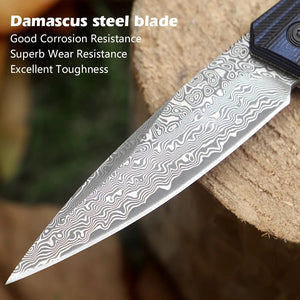 Erebus Japanese Gentleman's Knife with VG-10 Damascus, G10 Handle & Leather Sheath