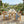 5-Piece Outdoor Acacia Wood Round Dining Set