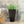 Outdoor Modern Cast Stone Planter