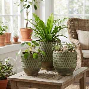 S/3 Textured Planters Set