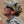 Mesquite Cap | GameGuard TwillBack - TRAPSKI