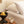 Organic Bamboo Sateen Bed Sheet Set