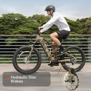 Boxer Ebike