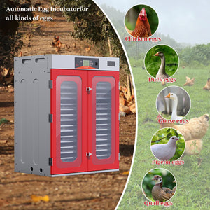 1000-Egg Commercial Cabinet Incubator – Digital Poultry Hatcher