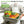 6-Pack Commercial Meat Tubs with Lids