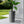 Planter For Outdoor
