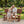 2-in-1 Convertible Bench Picnic Table