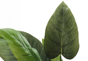 37" Tall Artificial Aureum Tree Indoor Faux Plant